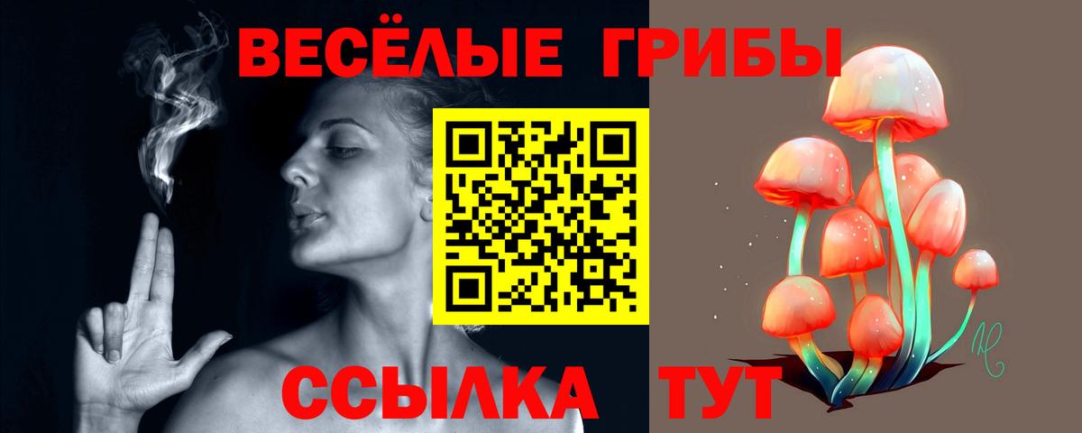 Апшеронск  Галлюциногенные грибы Psilocybine cubensis  Вход с VPN  купить наркотик  Псилоцибиновые грибы мицелий 